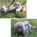 Soft Rabbit Dishes with Leash - Adjustable 2-Piece Mesh Set for Kittens & Pets | Durable & Comfortable - Buy Online on SooperMarket.com