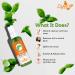 Buy Crysalis Basil Floral Water for Skincare - 3.38 Fl Oz (100ml) | Organic & Refreshing Herbal Hydration - International Shipping Available - Buy Online on SooperMarket.com