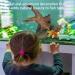 Natural Driftwood Aquarium Decor - Assorted Branches for Reptile/Fish Tank (2 Pack, 9-14 inch) - Buy Online on SooperMarket.com