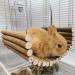 Buy Rabbit Wood Swing - Multifunctional Wooden Hamster Hammock for Mice & Sparrows | Natural Cute Resting Platform (20x30 cm) - Buy Online on SooperMarket.com