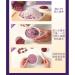 instantCongee with Purple Potato oatmeal packets gluten free oatmeal Congee with Purple Potato and Konjak 17.6 ounce Protein Soup Mix  - Buy Online on SooperMarket.com