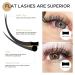 LashView 0.20mm D Curl Ellipse Flat Eyelash Extensions - Soft & Easy Application Mixed Tray (1 Pack) - Buy Online on SooperMarket.com