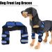Dog Front Leg Protector 1 Pair Dog Front Leg Braces Wrist Guard for Ligament Injuries Sprains for Loss of Stability(#3 S) - Buy Online on SooperMarket.com