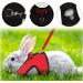 2-Pack Adjustable Pet Dishes & Leash for Rabbits Squirrels Bunnies Ferrets & Chinchillas - Ideal for International Shipping - Buy Online on SooperMarket.com