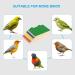 Patikil Bird Perch Stand - Wooden Playground for Small Birds Parrots & Lovebirds | Paw Grinding & Cage Accessories in Yellow - Buy Online on SooperMarket.com