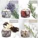 Fragrance Candles Gift Set - 4 Aromatherapy Soy Wax Candles | 120 Hours Burn Time | Perfect Decor & Gifts for Women - Buy Online on SooperMarket.com