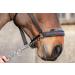 LeMieux Pro-Safe Headcollar for Horses & Ponies in Black - Adjustable for Perfect Control in Hand Use Only Full Black - Buy Online on SooperMarket.com