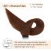 AGMITY Tape in Hair Extensions Chocolate Brown 14 inches 20pcs 40g/pack Invisible Straight Thick Remy Hair Extensions Tape in Human Hair(14 inches #4 Medium Brown) 14 inch #4 Medium Brown - Buy Online on SooperMarket.com