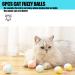 QIODAZOO 12PCS Cat Toy Balls 6 PCS Cat Bell Ball and 6 PCS Cat Soft Ball for Kitten Cat Interacitve Indoor Colorful Toy (Random Color) - Buy Online on SooperMarket.com