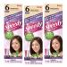 BIGEN SPEEDY CONDITIONING COLOR (#6 Medium Brown) Pack of 3 + Free Tint Brush - Buy Online on SooperMarket.com