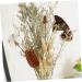 Cabilock Natural Dried Flowers 30 Pcs Natural Artificial Flower Decorative Artificial Flower As Shownx2pcs mediumx2pcs - Buy Online on SooperMarket.com