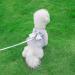 Dog Harness Dress with Leash Set Princess Dog Tutu Skirt for Small Dogs Girl Cute Bow Puppy Dresses Pet Clothes Doggie Outfits Apparel (XS Grey) XS Grey - Buy Online on SooperMarket.com