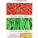 Color Chili Sauce homemade seasoning Hunan hot&spicy green and red chili peppers ickled vegetables Hot pot dipped in sauce pmixed noodle sauce Hunan specialty condiment (Color Chili Sauce 280g 3can) Color Chili Sauce 280g 3can - Buy Online on SooperMarket.com