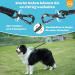 Buy Aystkniet Bungee Dog Leash - 3m to 30m Shock-Absorbing Leash for Medium & Large Dogs Padded Handle & Reflective Threads International Shipping Available - Buy Online on SooperMarket.com
