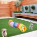Interactive Cat Tunnel Toy for Indoor Cats - Collapsible S-Style Rainbow Tunnel for Kittens, Rabbits, and Puppies - Buy Online on SooperMarket.com