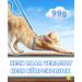 Supet Adjustable Cat Dishes with Leash - Outbreak-Proof Perfect for Large & Small Cats Kitten Dishes Set for Walking - Blue (M: Chest Size 28-48cm) - Buy Online on SooperMarket.com