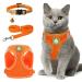 Zhenle cat dishes breakout with cat leash adjustable reflective cats dishes set with leash orange cats dishes contain collars and breast dishes (s)