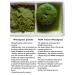 Organic Frozen WOW Wheatgrass | Unpasteurized, Alkaline, No Powder | Grown and Packaged in USA - Buy Online on SooperMarket.com