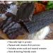 The Biltong Man Nice n Spicy Fatty (500 Grams) 500 Grams - Buy Online on SooperMarket.com