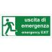 pubblimania Emergency exit sticker made of durable PVC for indoor and outdoor use (Cm29 x 13) (Emergency exit)