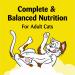 TEMPTATIONS Classic Crunchy and Soft Cat Treats Blissful Catnip - Multiple Sizes - 3oz (12 Pack) - Buy Online on SooperMarket.com