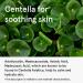 ONE THING Centella Moisturizing Sunscreen | CICA Soothing & Hydrating UV Protection | Reef-Friendly Mineral Cream for Sensitive Skin | Korean Skincare 1.69 Fl Oz - Buy Online on SooperMarket.com