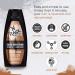 N Rage Color Depositing Shampoo + Conditioner 3-in-1 System - N-Ergized Brown | International Shipping Available - Buy Online on SooperMarket.com