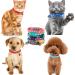 Flymind Puppy Collars 19Pcs Whelping ID Collars with Bell - Adjustable Soft Nylon Litter Collars for Newborn Pets - Non-Breakaway - Buy Online on SooperMarket.com