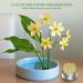 24Pcs Japanese Mini Kenzan Ikebana Flower Frogs - 23mm Diameter Floral Pin Holder for Plant Decoration and Arrangement - Buy Online on SooperMarket.com