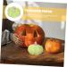 HOLIDYOYO 3pcs Pumpkin Decoration Autumn Rustic Pumpkin Desk Topper Figurines for Outdoors Fake Pumpkin Thanksgiving Day Pumpkin Ornament Decorative Pumpkin Ceramics Window Gift Greenx3pcs 13X13CMx3pcs - Buy Online on SooperMarket.com