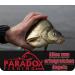 Buy Paradox Lead-Free Fishing Feeder Baskets 30g-80g | Optimal Performance for Feeder Rods | International Shipping Available - Buy Online on SooperMarket.com