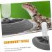 BELLIFFY Turtle Drinker Auto Feeder Reptile Food Bowl Automatic Reptile Feeder Automatic Waterer Pet Plastic 17.00X17.00X3.50CM Grey - Buy Online on SooperMarket.com