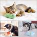 Dorakitten Catnip Toys for Indoor Cats - 5PCS Plush Chew Toys for Teething and Interactive Play | Catnip Filled Kitten Toy with Soft Material and Animal Shapes - Buy Online on SooperMarket.com