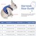 Adjustable Soft Rabbit Dishes & Elastic Leash for Small Pets - Kitty & Bunny Walking Set (Blue XS - 20-27.5cm) - Buy Online on SooperMarket.com