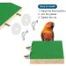 Patikil Bird Perch Stand - Wooden Playground for Small Birds Parrots & Budgies - Clean Paw Grinding Accessory in Green - Buy Online on SooperMarket.com