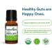 Wellements Organic Probiotic Drops for Baby Digestive & Immune Support | 0.25 Fl Oz 141188 | Dye-Free, Paraben-Free, Preservative-Free | Infants & Toddlers - Buy Online on SooperMarket.com