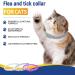 Kreezypet Flea and Tick Collar for Cats | 24-Month Protection | Essential Oils | 19 Inches | 3-Pack | International Shipping - Buy Online on SooperMarket.com