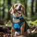 Buy Joytale Reflective Dog Collar for Small Dogs - Blue S (Pack of 1) | International Shipping Available - Buy Online on SooperMarket.com