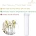 Beadnova 2.8 Flower Water Tubes - 60 Clear Plastic Floral Vials for Flower Arrangement and Decoration - Buy Online on SooperMarket.com