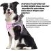 Shop Dog Harness & Puppy Tableware - Bright Cat Dishes & Leash for Small Dogs (Pink S) - Buy Online on SooperMarket.com