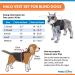 Walkin Halo Harness for Blind Dogs - Comfortable Harness for Pets Over 30lbs - Blind Dog Accessories - XX-Small - Buy Online on SooperMarket.com