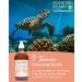 Premium Salmon Oil for Dogs & Cats - Omega 3 & 6 | 500ml Norwegian Natural Supplement for Health - Buy Online on SooperMarket.com