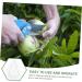 Milisten Gardening Tools 6 pcs Watermelon Mould Tools Clear Supplies Growing Garden Vegetable Multifunction Moldvegetable Transparentx2pcs 9x8cmx2pcs - Buy Online on SooperMarket.com
