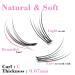 Natural Cluster Eyelash Extensions 8-14mm Mixed Pack - C Curl Fishtail Lashes 0.07mm - Buy Online on SooperMarket.com
