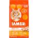 IAMS Proactive Health Minichunks Dog Food Dry Adult Chicken & Whole Grains Recipe 3.18kg (7LB) Bag & Proactive Health Healthy Adult Dry Cat Food with Chicken 1.59kg Bag 3.18 kg (Pack of 1) Mini Chunks + Cat Food 1.59kg Bag - Buy Online on SooperMarket.com