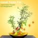 3-Piece Silver Japanese Flower Holder Set for Floral Arrangements and Plant Fixation - Buy Online on SooperMarket.com