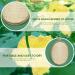 2 Pack Natural Loofah Body Scrubber | Eco-Friendly Exfoliating Shower Sponge for Women and Men - Buy Online on SooperMarket.com