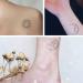 Dopetattoo Stars Temporary Tattoos - Boho Flash Design Sun Moon Antique Style - 6 Sheets for Women & Men - Buy Online on SooperMarket.com