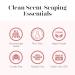 SPONGELL Grapefruit Cassis Refill Hand & Body Wash - Luxury Soap with Zesty Grapefruit & Vanilla | 11 fl. oz. - Nourishing International Shipping Available - Buy Online on SooperMarket.com