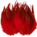 100pcs Red Loose Rooster Saddle Hackle Feathers 5-7 Inch for Crafts Earrings Jewelry Making Dream Catcher Decoration